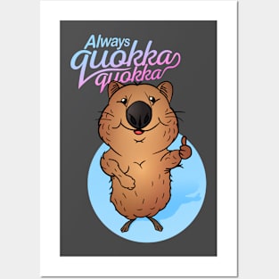 Always quokka quokka Posters and Art